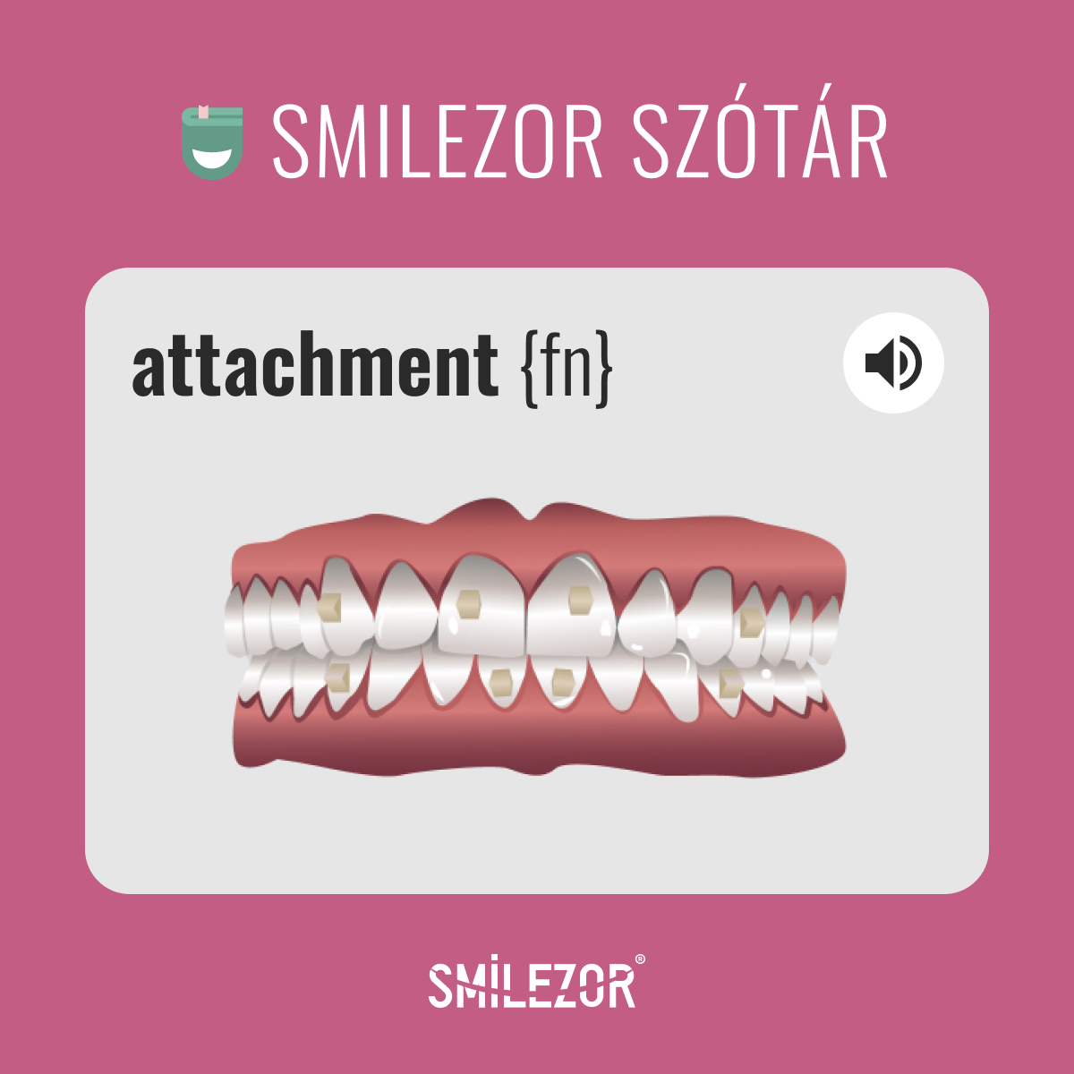 491827301_1249164980548665_2475833930242850350_n