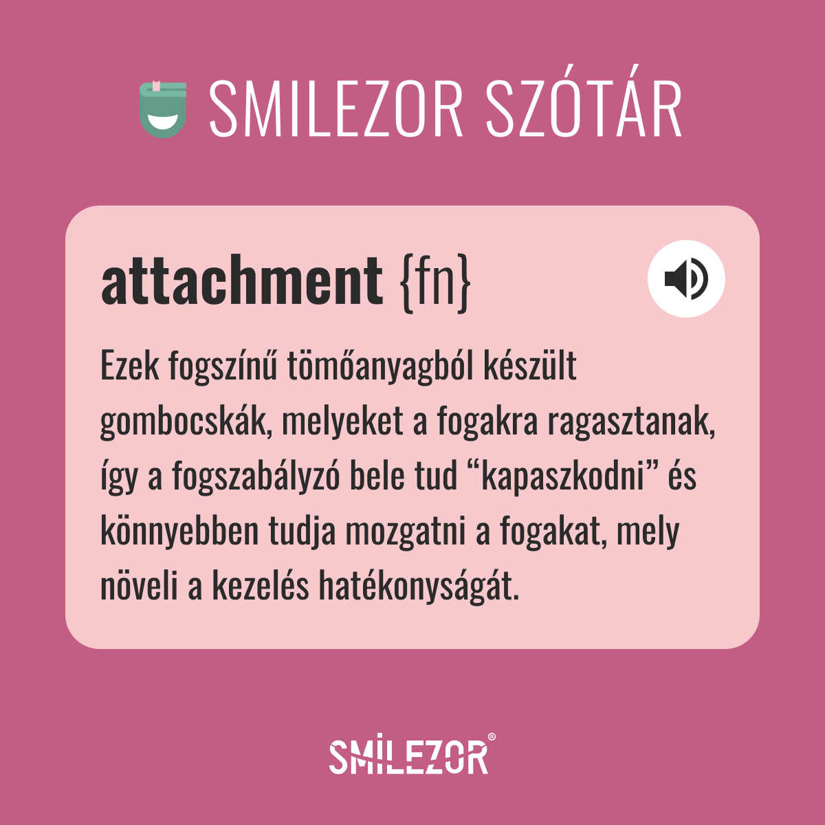 492035442_1249164943882002_3230656456509006995_n