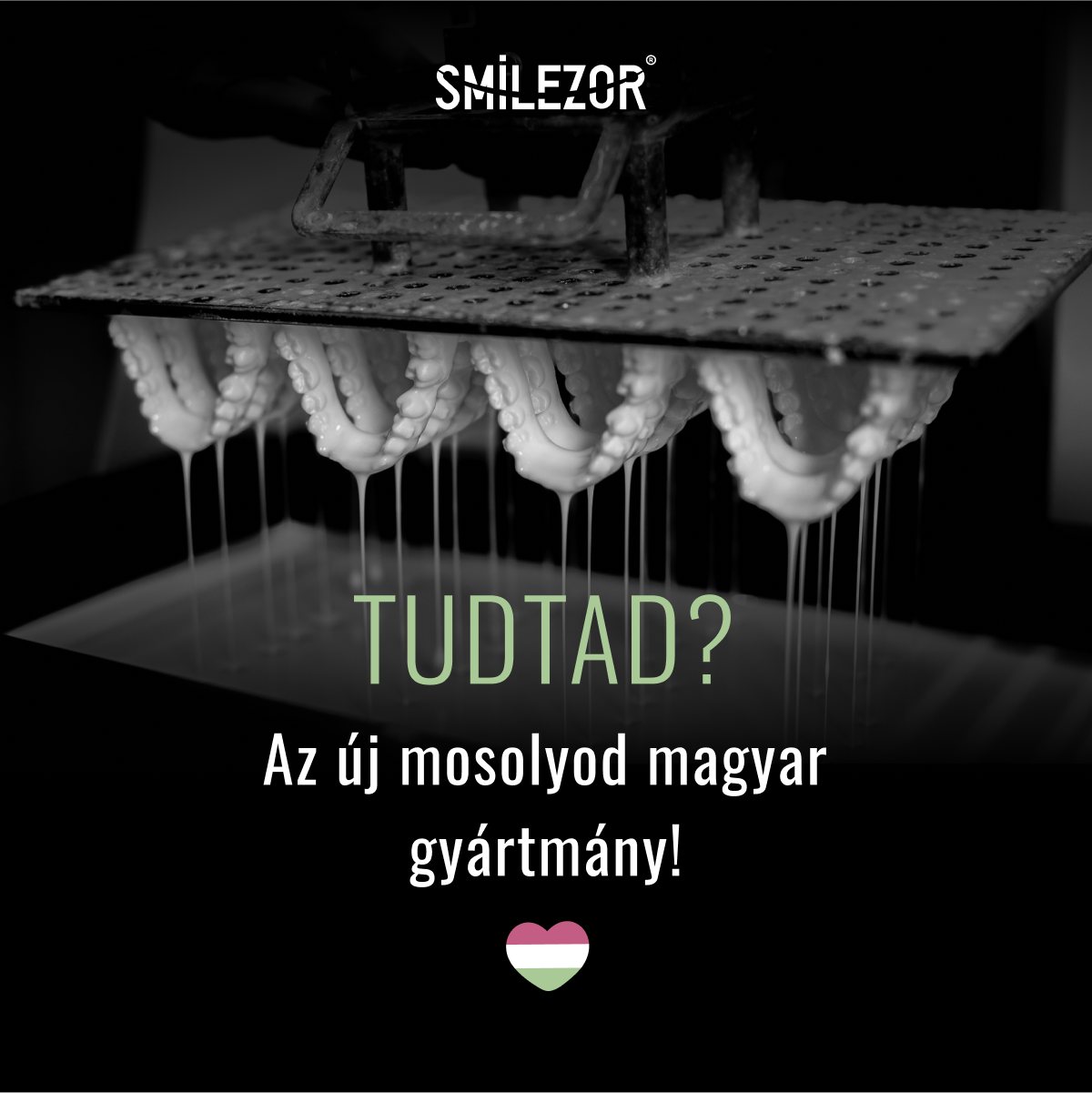 493682432_1261135586018271_5883338203195431142_n