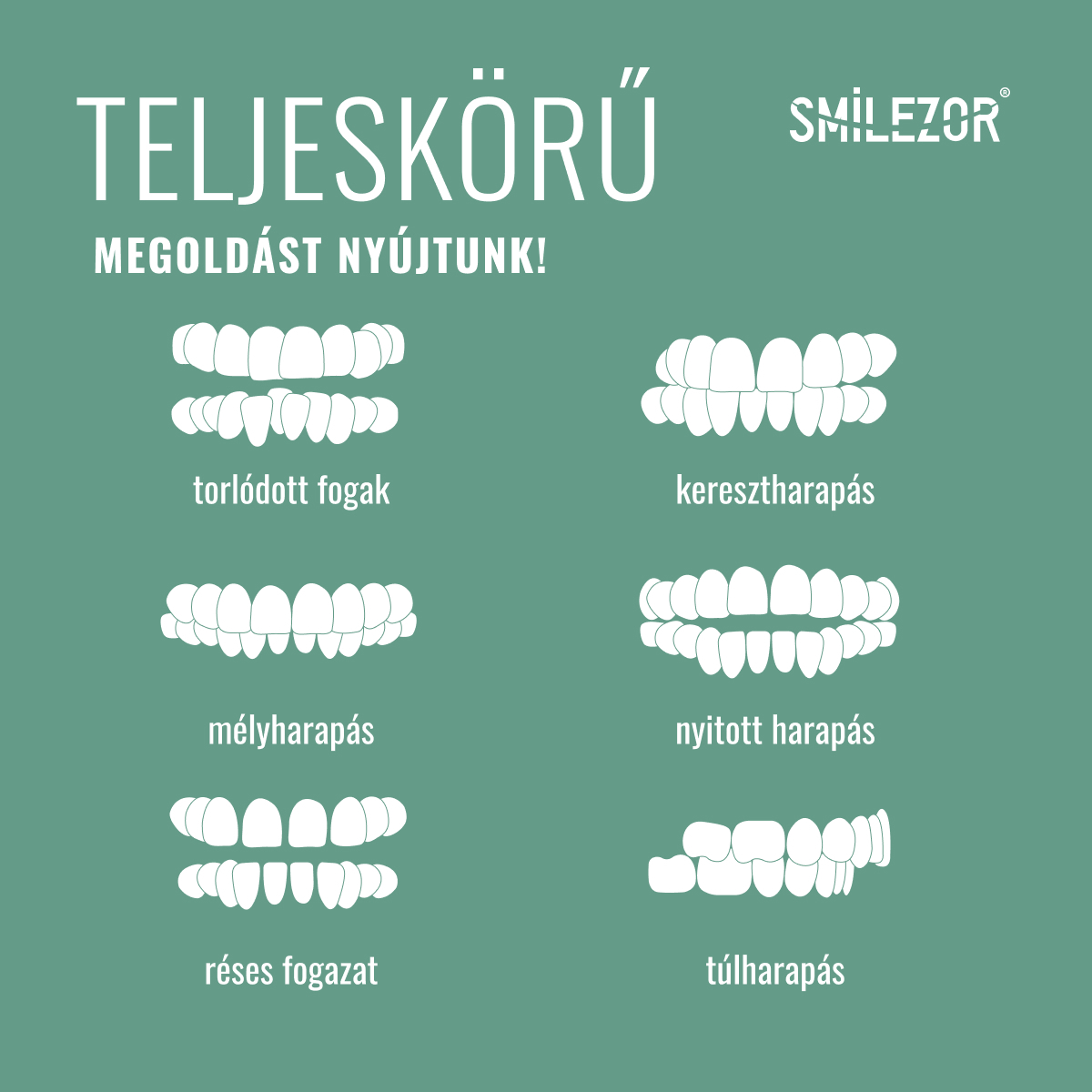 495023256_1264020702396426_4569053665862127458_n