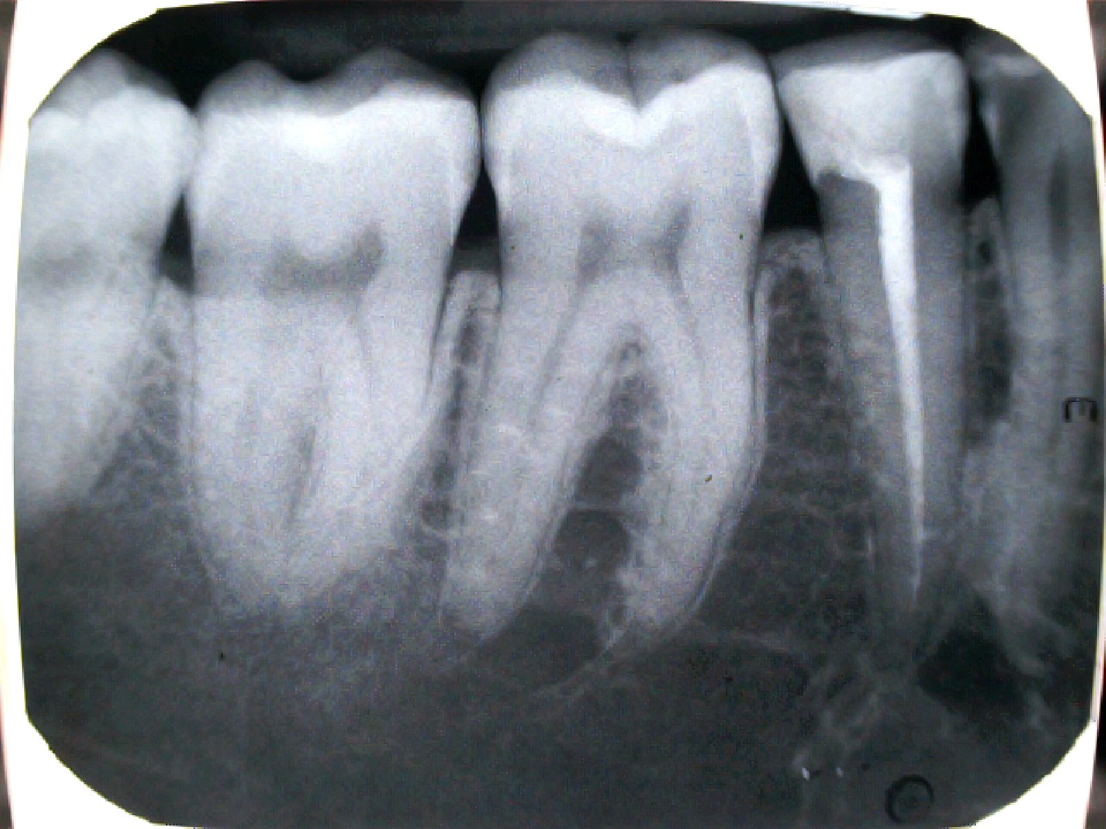 880703_korner_veber_viktoria-2025-06-25_140512