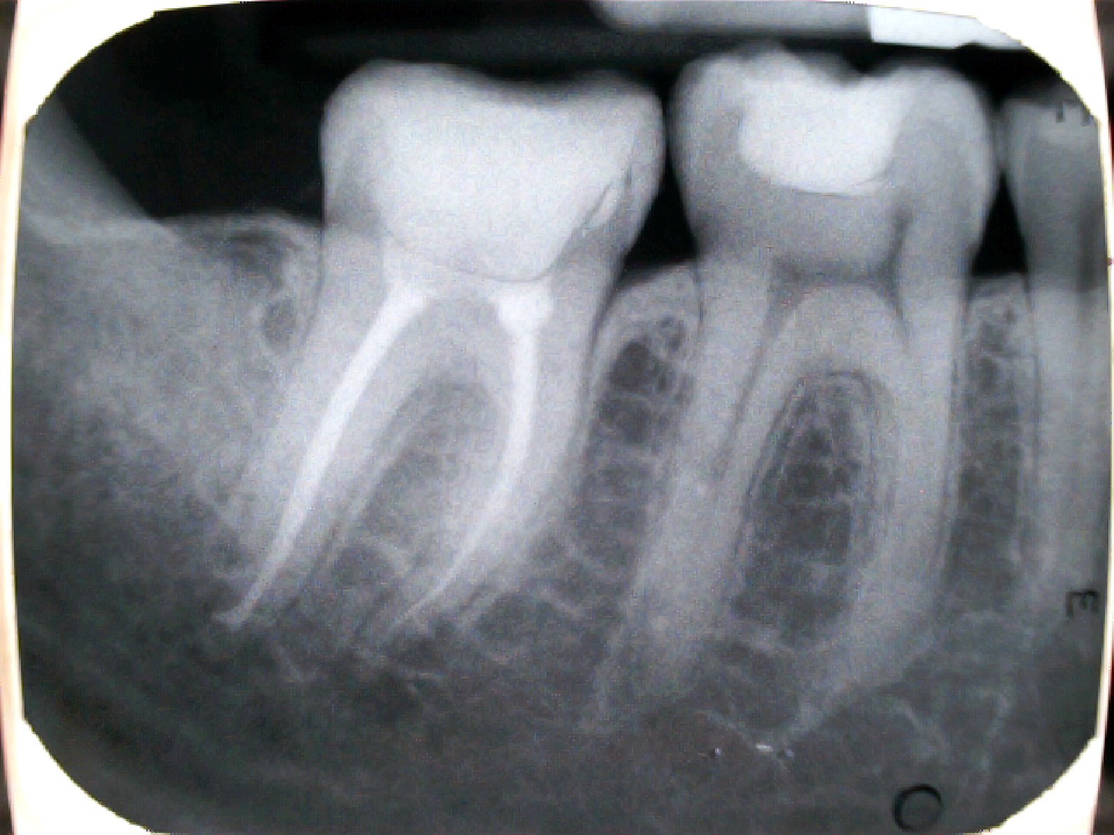 888346_gaber_csaba-2025-08-11_173907